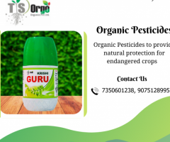 Best Natural pesticides to provide natural protection for endangered crops