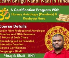 Learn Bhrigu Nandi Nadi in Hindi