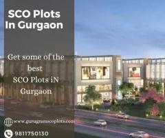 Acquire Premium SCO Plots in Gurgaon for Your Business
