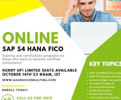 SAP FICO S/4 HANA Weekend Online Training  Starting 14th Oct;23 @8:00 AM,