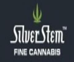 Silver Stem Fine Cannabis Bonnie Brae Marijuana Dispensary