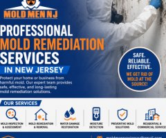 Professional Mold Remediation Services in New Jersey – Mold Men NJ