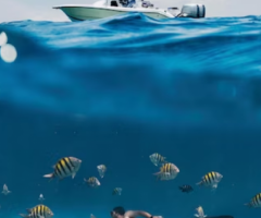 Reef Snorkeling Near Me | Casual Monday Charters