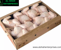 Al Shah Enterprise: Your Trusted Wholesale Chicken Supplier