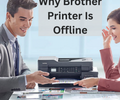 Why brother printer is offline |+1-877-372-5666| Brother Support