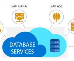 Optimize Your Data: Professional Database Management Services!