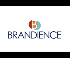 Brandience