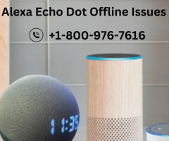 Alexa Echo Dot Offline Issues |+1-800-976-7616 | Alexa Support