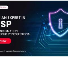 Certified Information Systems Security Professional Online Training