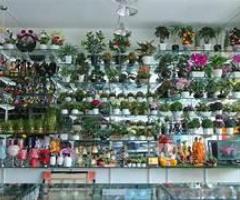 Sale of commercial property with  Gift showroom Tenant in Secunderabad,