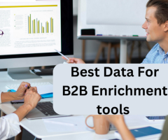Leads Chilly B2B Data Enrichment Tools