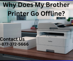 Why Does My Brother Printer Go Offline? | +1-877-372-5666 | Brother Support