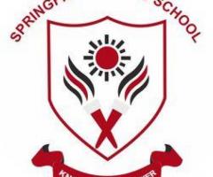 Springfield public school - no. 1 boarding school - 1