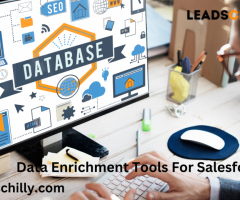 Lead's Chilly Data Enrichment Tools For Salesforce