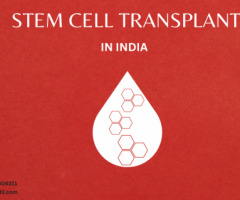 Stem Cell Transplant Cost in India