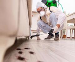 Effective Pest Control Services in Pokhara