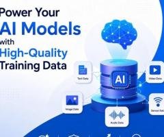 Power Your AI Models with High-Quality Training Data