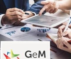Government tender consultant near me