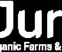DDGS Dried Distillers Grains in India | Jurala