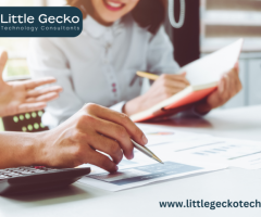 Managed It Services Boston | Little Gecko Technology