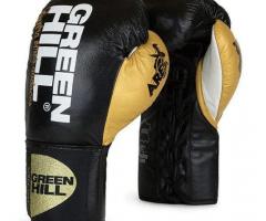Elevate Your Boxing Game with the Ultimate Gloves! - 1