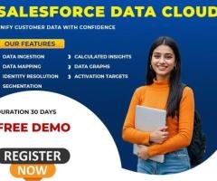 Master Salesforce Data Cloud Classes | Hands-On Learning