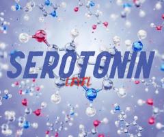 Understanding the Significance of Serotonin Levels in the Human Body