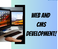 Web And CMS Development Give Direction To Your Business!