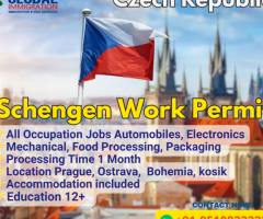 Schengen Work Permit