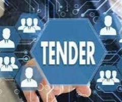 Tender Consultancy Services in India