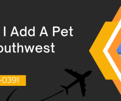 How Do I Add A Pet In My Southwest Flight