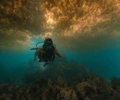 Puerto Morelos Diving - 1