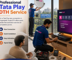 Professional Tata Play DTH Service