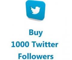 Buy 1000 Twitter followers 100% Active Audience @ Just $38