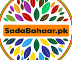Sadabahaar - Your Ultimate Online Shopping Destination in Pakistan - 1