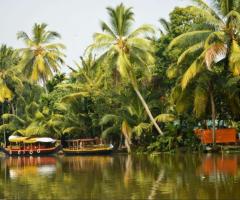 Explorez la Vie Sauvage en Inde du Sud avec South India Voyages! - 1