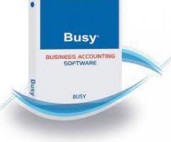 busy software standard edition