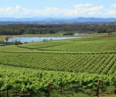 Exclusive Private Tours in Hunter Valley