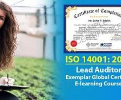 Online ISO 14001 Lead Auditor Training Course