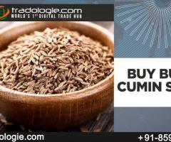 Buy Bulk Cumin Seeds