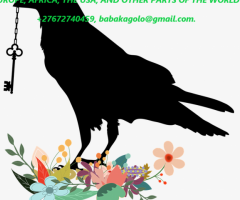 BLACK MAGIC LOVE SPELL TO MAKE THEM FALL FOR YOU IN DIFFERENT PARTS OF THE WORLD +27672740459.