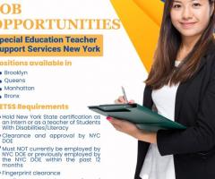 SETSS teacher requirements in New York | Knowledge road