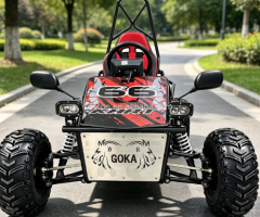 Off‑Road Go‑Kart｜Electric 1-3KW & Fuel‑Powered 125CC-150CC Versions Optional.