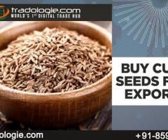 Buy Cumin Seeds from Exporter