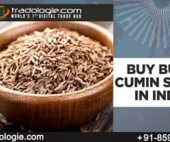 Buy Bulk Cumin Seeds in India