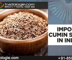Import Cumin Seeds in India