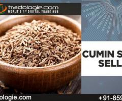Cumin Seeds Seller