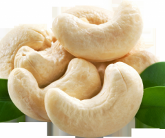 Leading Cashew Nuts Manufacturers in India