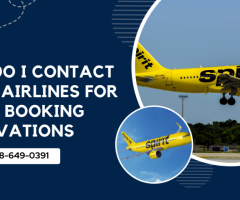 How Do I Contact Spirit Airlines For Group Booking Reservations