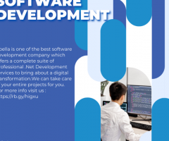 Asp.Net Development Services In USA